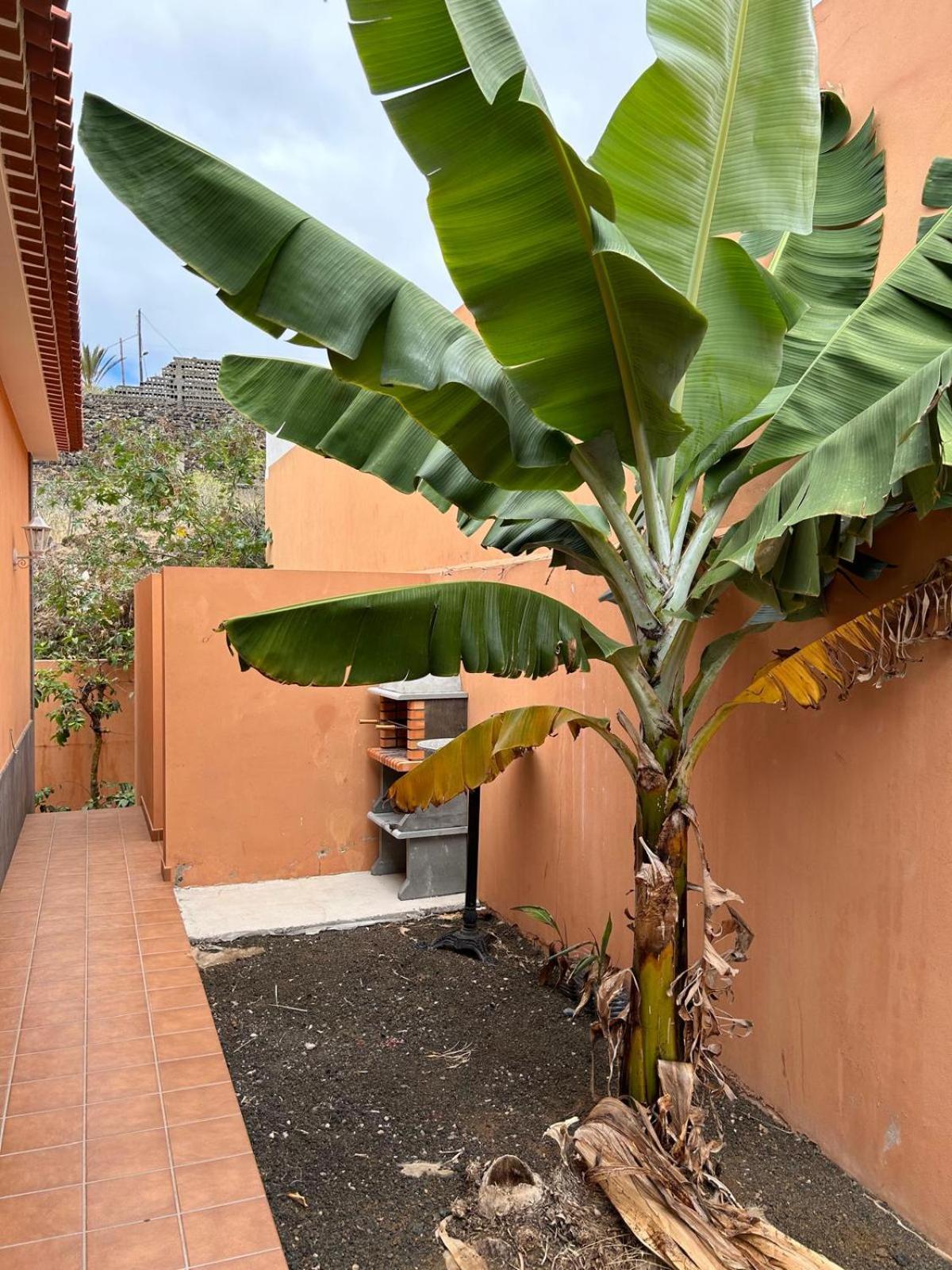 Chalet Piscina Privada Max 26º Jardin, Tranquilidad Caleta de Interián المظهر الخارجي الصورة