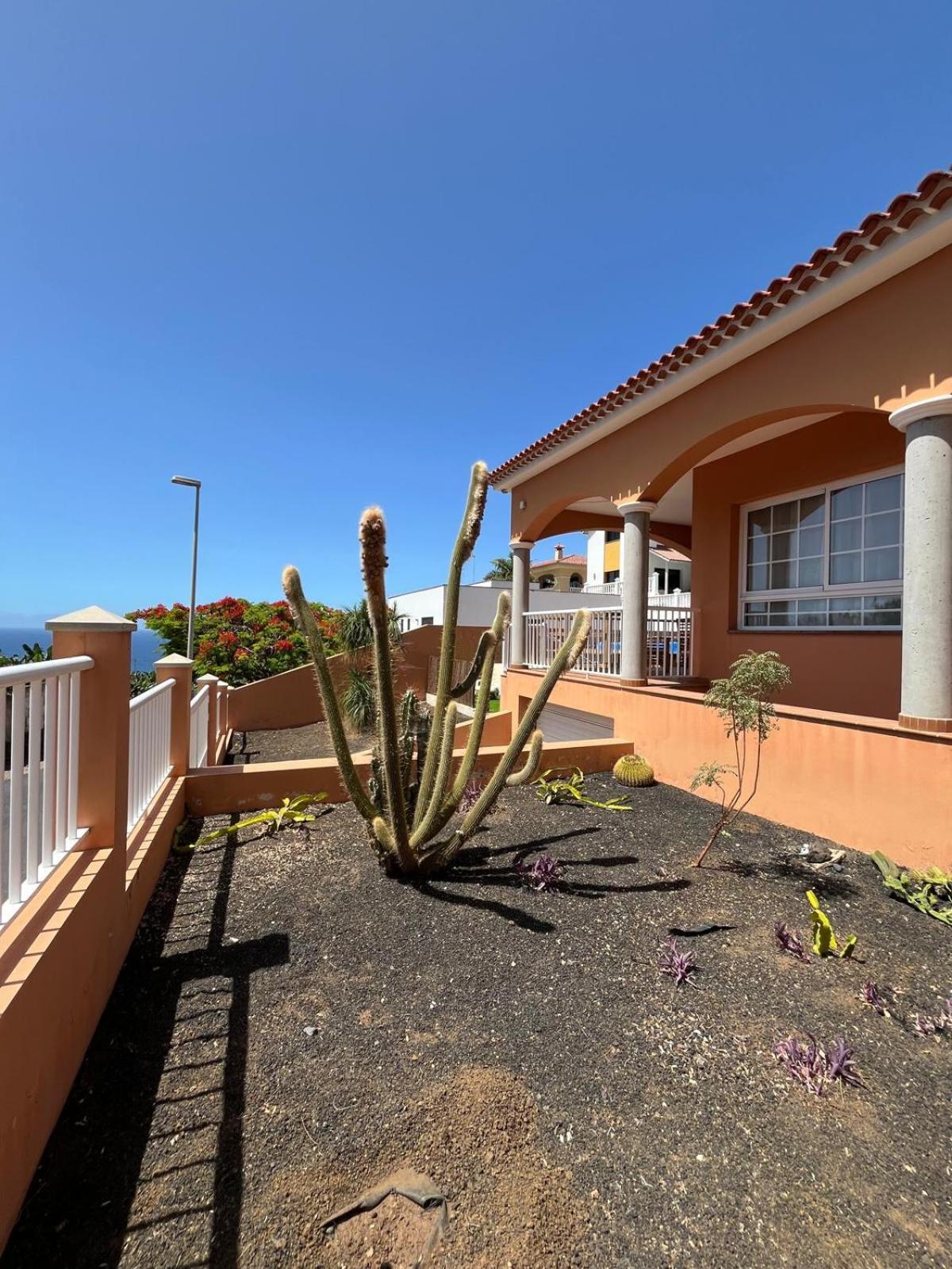 Chalet Piscina Privada Max 26º Jardin, Tranquilidad Caleta de Interián المظهر الخارجي الصورة