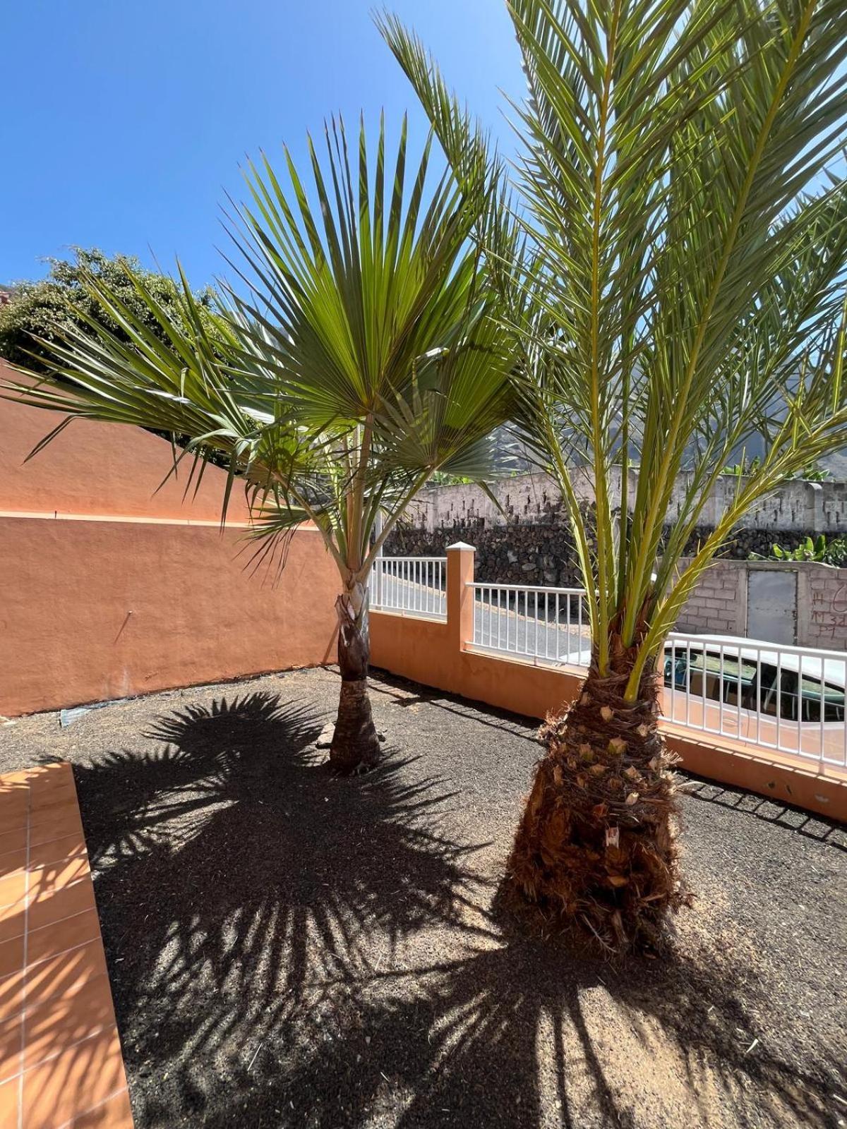 Chalet Piscina Privada Max 26º Jardin, Tranquilidad Caleta de Interián المظهر الخارجي الصورة